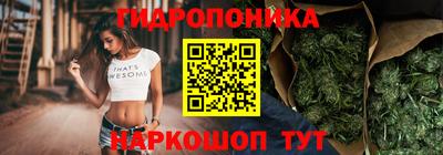 гидра Краснокаменск