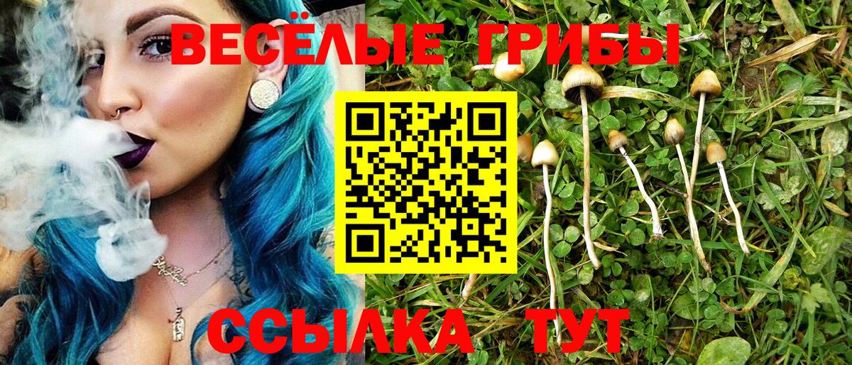 Псилоцибиновые грибы Magic Shrooms Каменск-Уральский